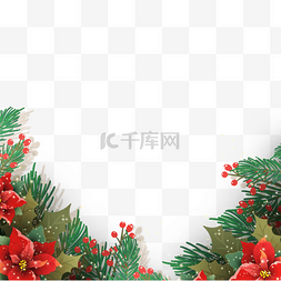 Christmas图片_真实质感christmas poinsettia圣诞花插