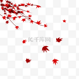 红色枫叶飘落素材
