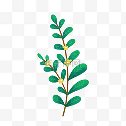绿叶免抠图片图片_春天的植物PNG免抠素材