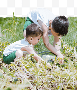 男孩写板书图片_摘西瓜男孩