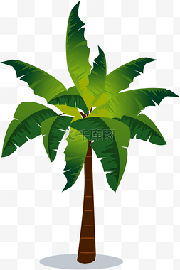 椰棕树叶图片_长叶型热带棕树