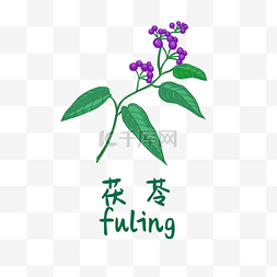 炎黄尝百草图片_手绘彩色中药茯苓