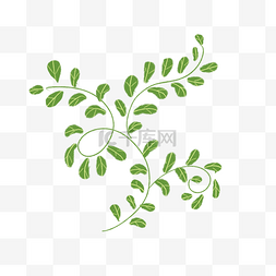 创意绿色藤蔓装饰免抠插图