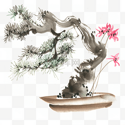 植物盆景图片_松树盆景水墨画PNG免抠素材