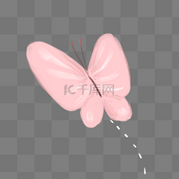 一只漂亮的粉色蝴蝶