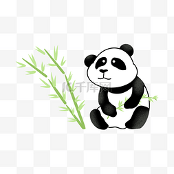 中国国宝图片_中国可爱大胖熊猫