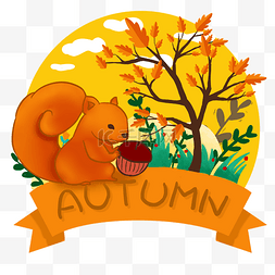 秋天动物系列之松鼠可爱