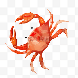 螃蟹定律图片_梭子蟹海螃蟹