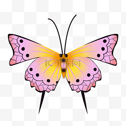 粉色的蝴蝶装饰插画