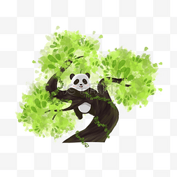 可爱熊猫爬树