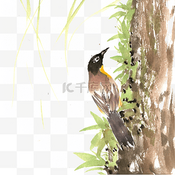 中国风水墨画素材图片_树干上的鸟