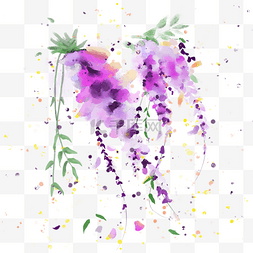 紫藤萝花鸟图片_紫藤萝紫色植物