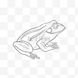 青蛙剪贴画图片_frog clipart black and white 可爱青蛙剪