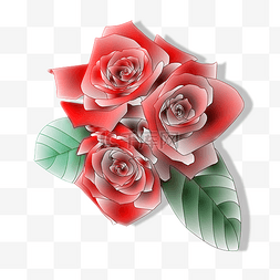 三朵红花图片_三朵红色的玫瑰花