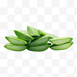 芦荟免抠实物图片_重叠的绿色芦荟