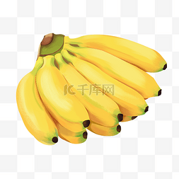 香蕉图片_夏季水果香蕉
