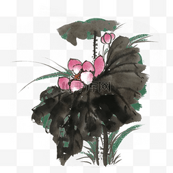 出水芙蓉图片_出水芙蓉水墨风手绘插画