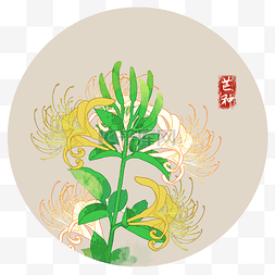 芒种金银花水墨二十四节气夏季花