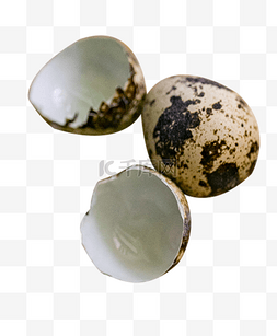 鹌鹑蛋和蛋壳