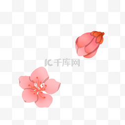 桃花花瓣粉色