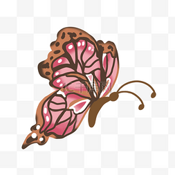 粉色美丽蝴蝶 