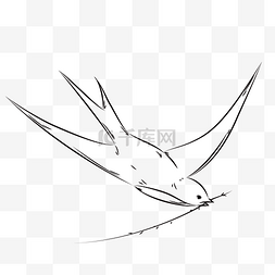 黑白春季燕子手绘