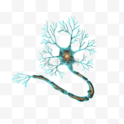 立体科学图片_细胞膜神经元