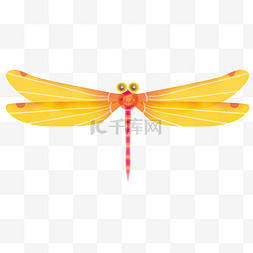 黄色翅膀图片_黄色翅膀蜻蜓