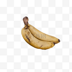 两根新鲜的大香蕉