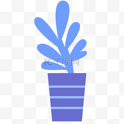 蓝色花朵盆栽