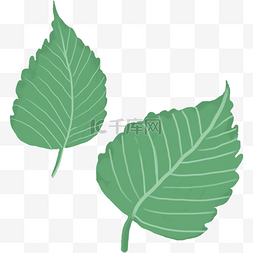 涂鸦植物图片_植物绿色涂鸦树叶大片叶子