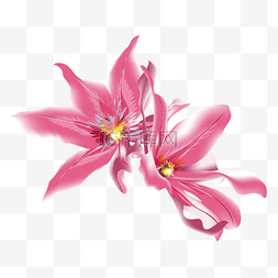 粉色小清新立体图片_粉色杜鹃花花朵