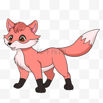 狡猾的狐狸图片素材_狐狸野生动物