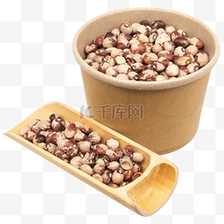 豆类食材花芸豆