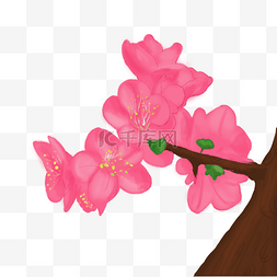 花枝上的鸟图片_卡通手绘中国风玉兰花