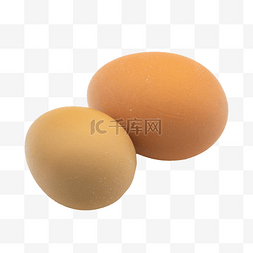 一大一小图片_椭圆形鸡蛋