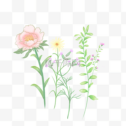 透明粉色花朵图片_唯美透明水彩花卉