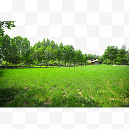 绿色树木草地和小木屋
