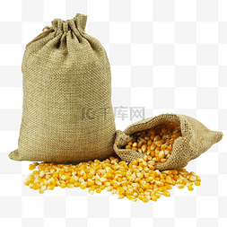 五谷杂粮玉米