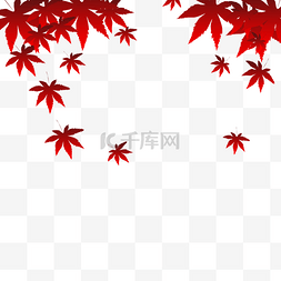红色枫叶素材图片