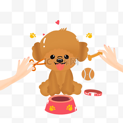 宠物狗球图片_手绘卡通棕色泰迪狗插画