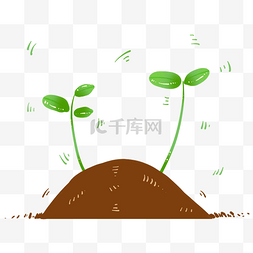 土壤发芽植物