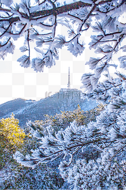冬季树木白雪和铁塔