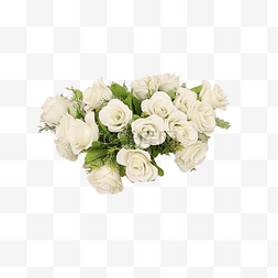 绽放纹理图片_白色植物花朵元素