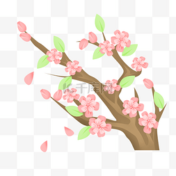 漂亮的粉色桃花桃树