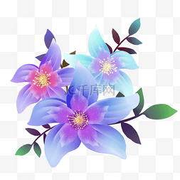 梦幻紫色花朵睡莲