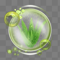芦荟免抠实物图片_圆形透明绿色清新芦荟胶