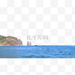 山东题图图片_山东海岛海鸟海水