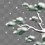 冬天雪中的松树