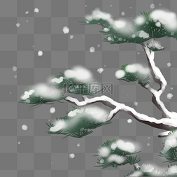 冷下雪图片_冬天雪中的松树
